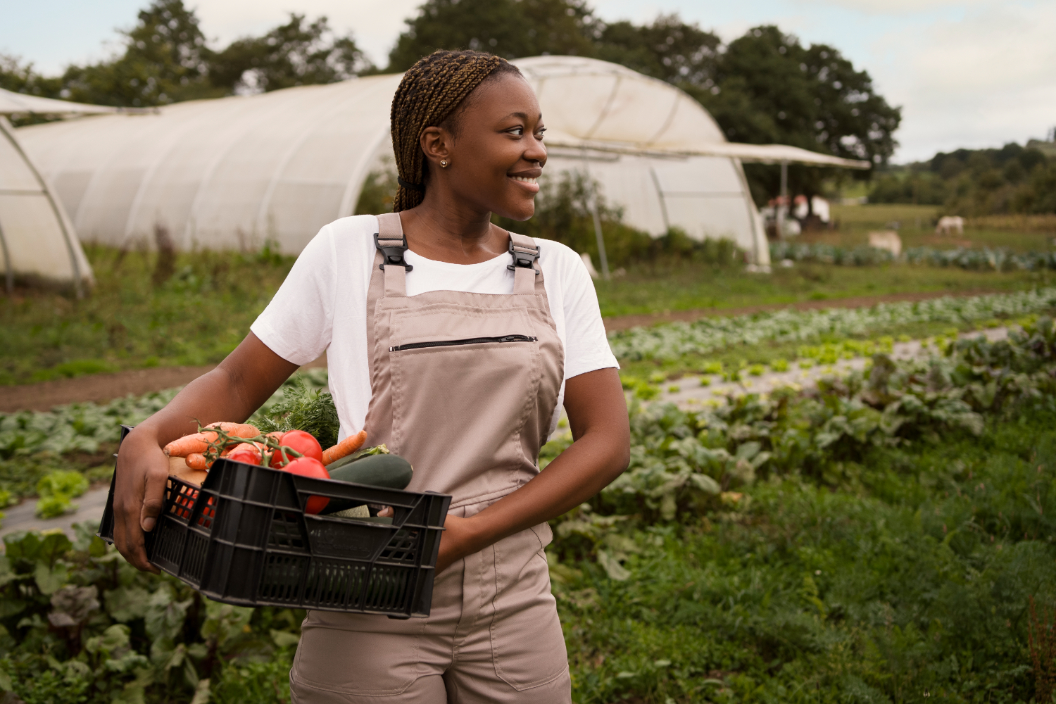 Farmer with strawberries